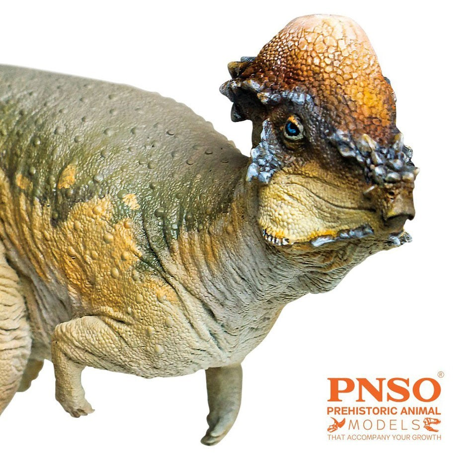 PNSO 2021 Austin the Pachycephalosaurus - modello di dinosauro scala 1:35