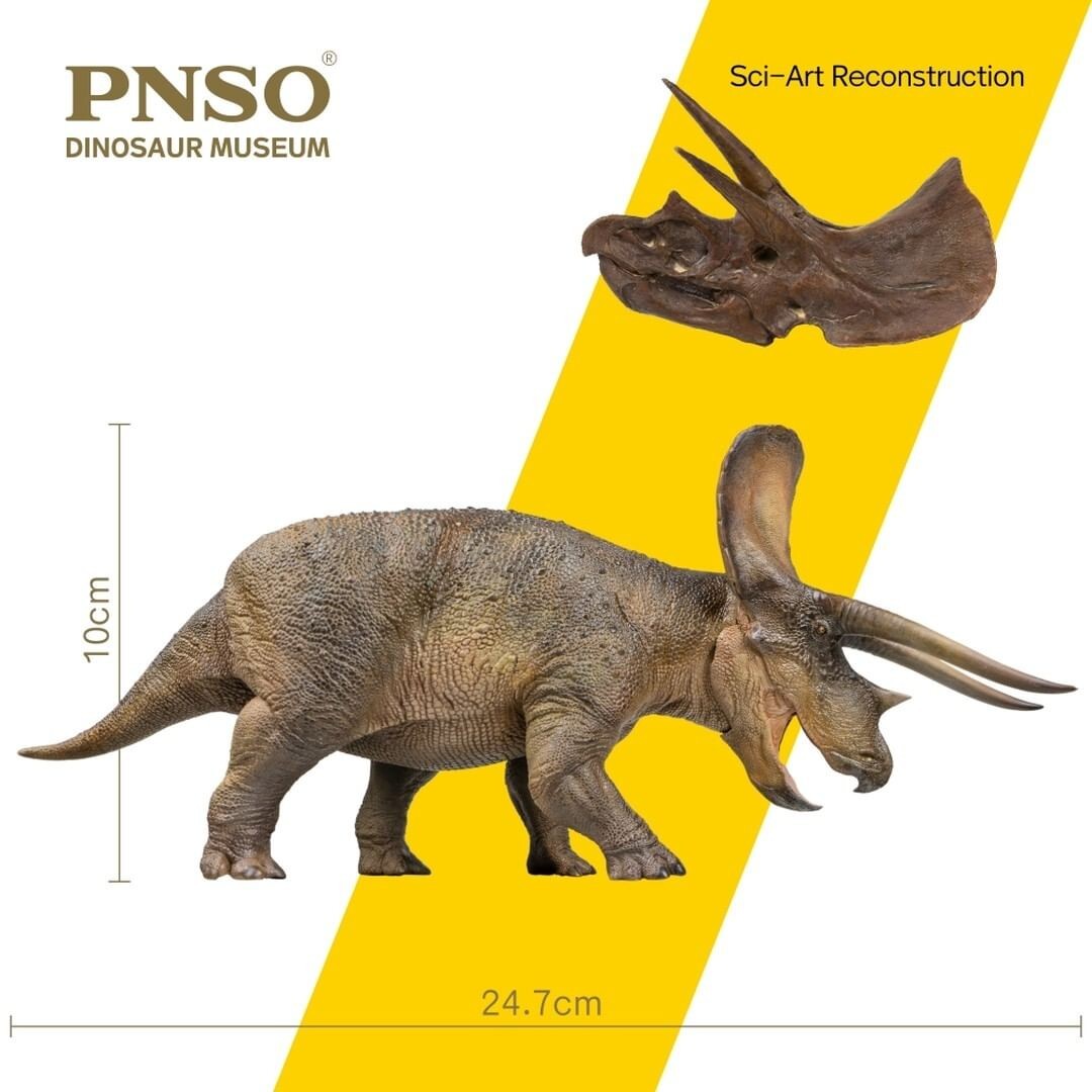PNSO 2021 NEW Doyle Triceratops + Teschio dinosauro linea museale in scala 1:35