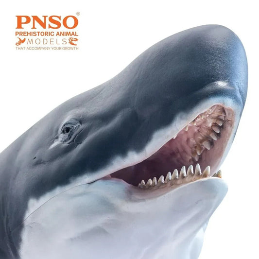 PNSO 2021 Requena il Livyatan - Cetaceo preistorico - Capodoglio