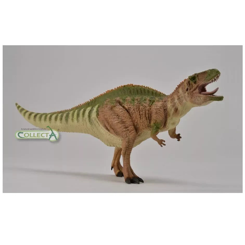 CollectA 88718 Acrocanthosaurus Deluxe 1:40 Scale Dinosauro mandibola movibile