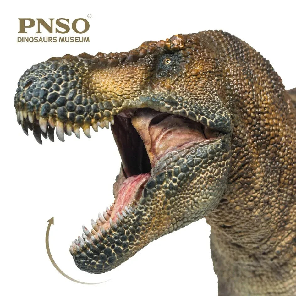 PNSO 2020 Wilson il Tyrannosaurus rex dinosauro Linea Museale - Scala 1.35