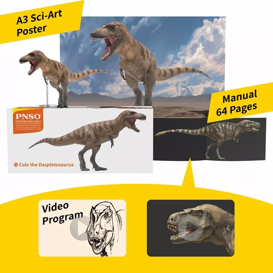 PNSO 2023 Colethe il Daspletosaurus - dinosauro in scala 1:35 - mandibola mobile