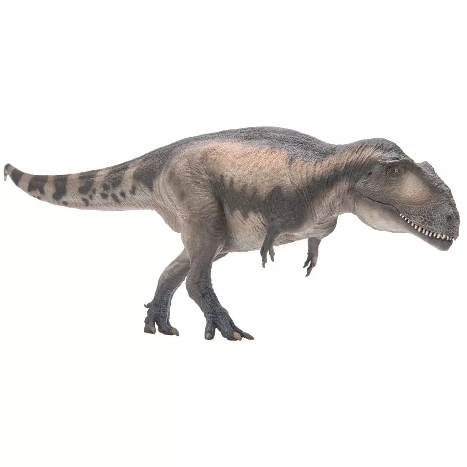 PNSO 2023 Mila il Mapusaurus dinosauro in scala 1:35 - mandibola mobile