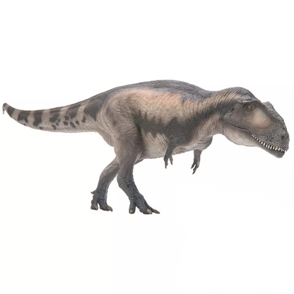 PNSO 2023 Mila il Mapusaurus dinosauro in scala 1:35 - mandibola mobile
