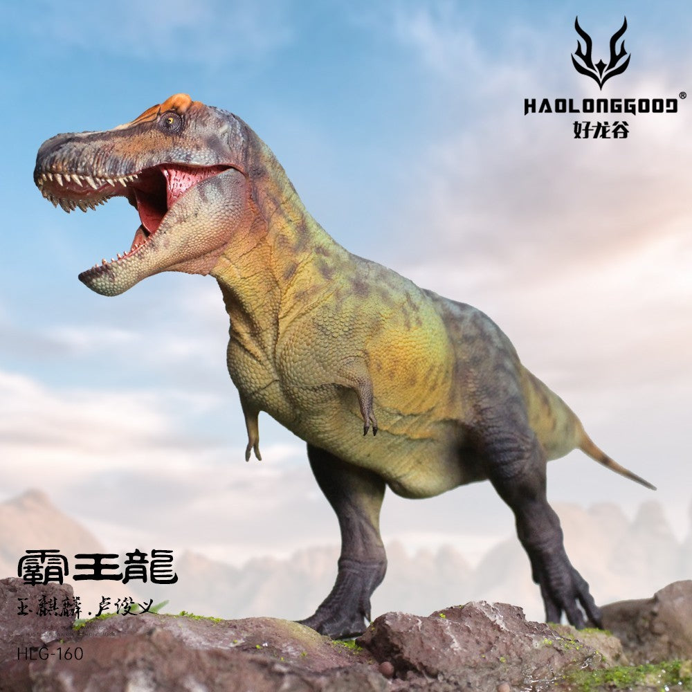 HLG 159-160 Tyrannosaurus rex Haolonggood modello dinosauro 1:35  2 colorazioni