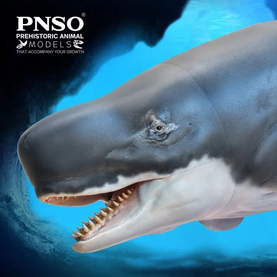 PNSO 2021 Requena il Livyatan - Cetaceo preistorico - Capodoglio