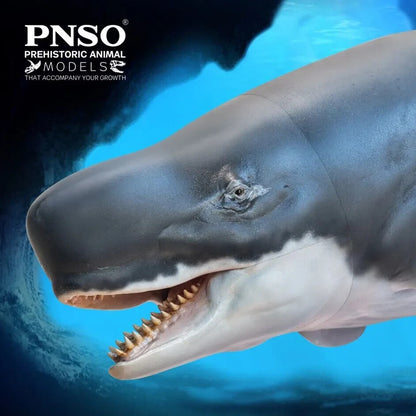 PNSO 2021 Requena il Livyatan - Cetaceo preistorico - Capodoglio
