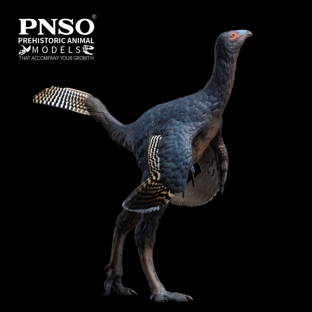 PNSO 2025 Junlang the Caudipteryx - dinosauro piumato