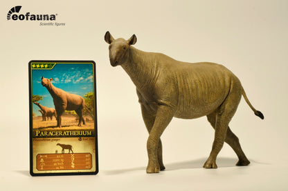 Eofauna 14 Paraceratherium grangeri Modello Scala 1:35