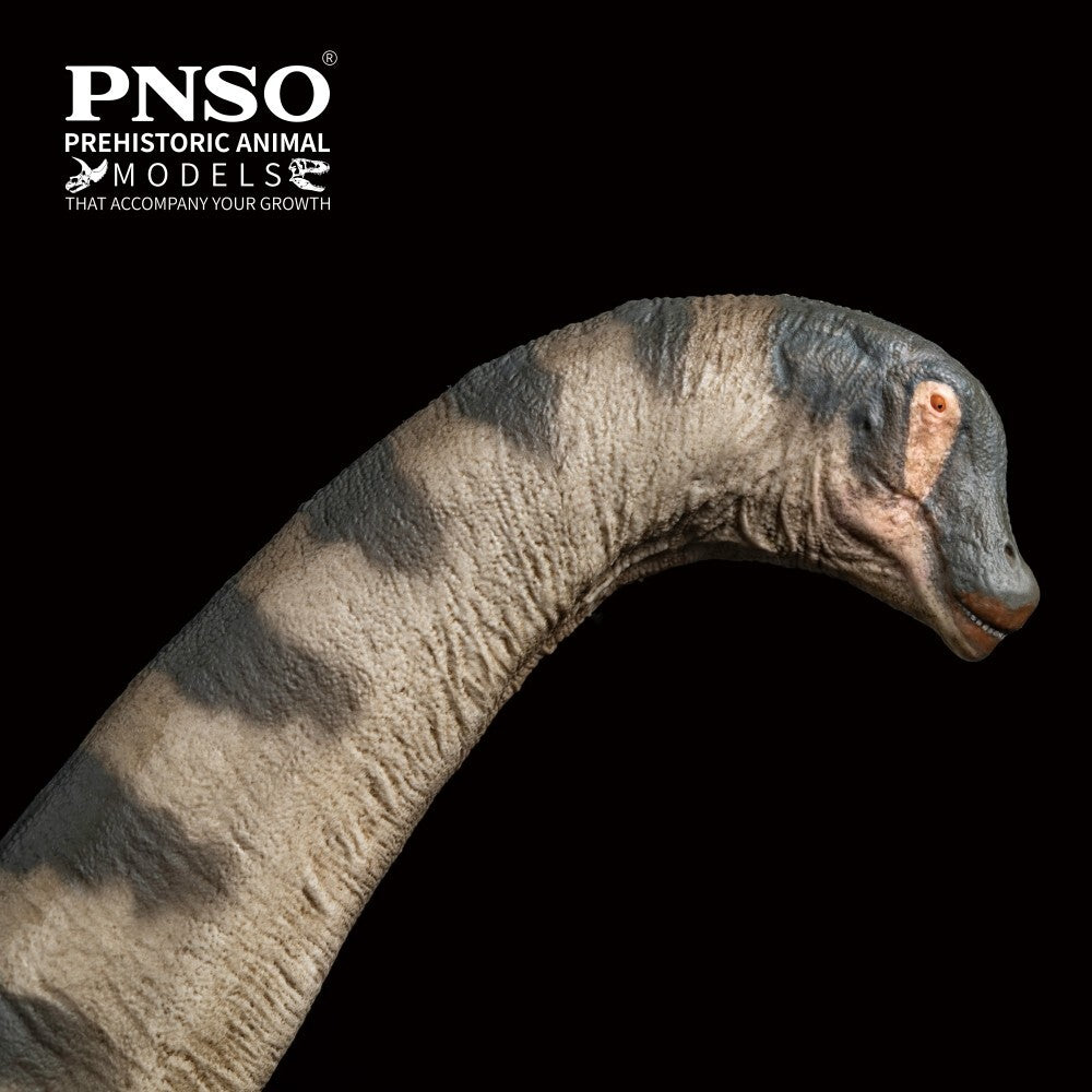 PNSO 2023 Samuel l'Alamosaurus - dinosauro sauropode
