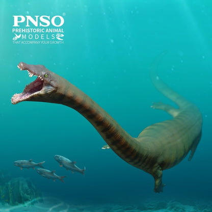 PNSO 2025 Xiaochong the Dinocephalosaurus - modello di rettile marino
