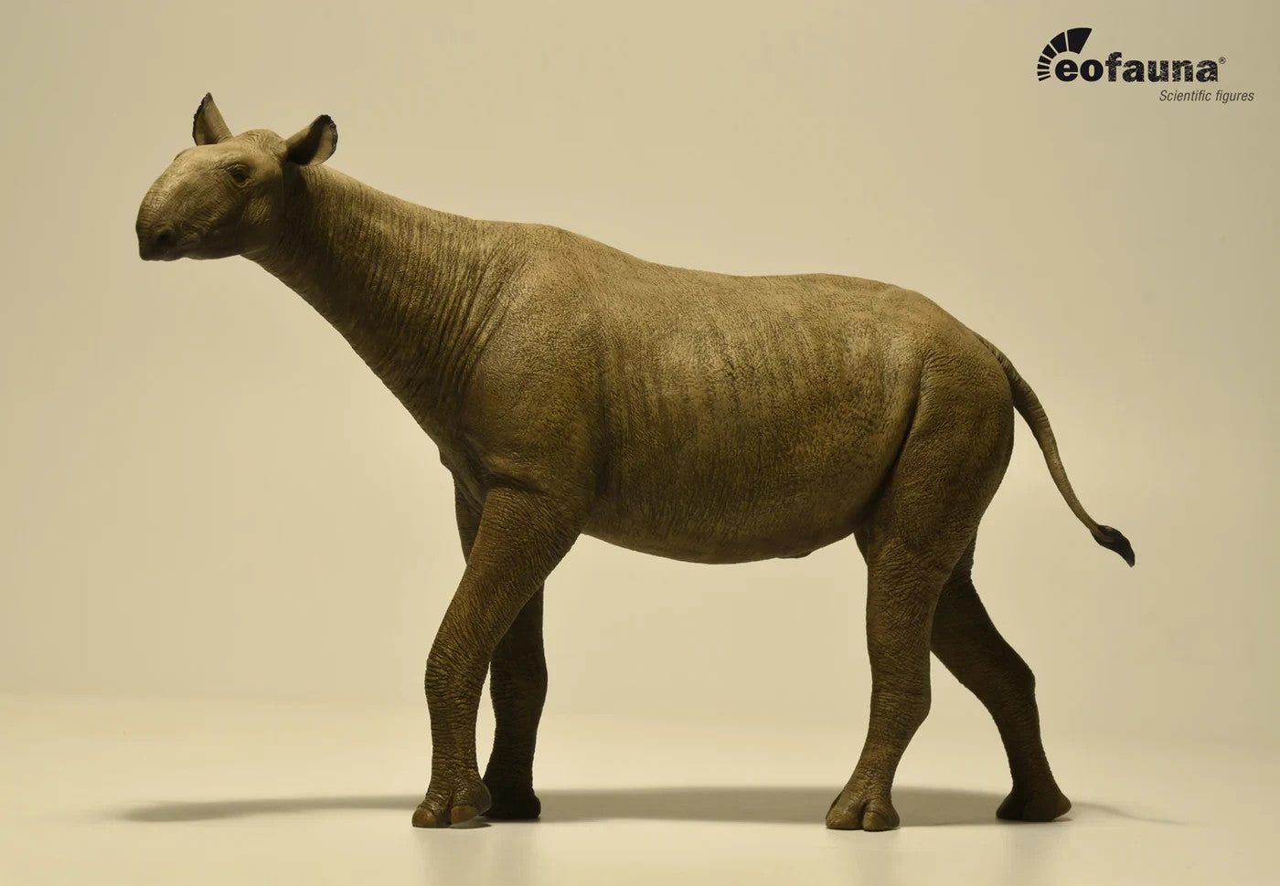 Eofauna 14 Paraceratherium grangeri Modello Scala 1:35