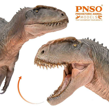 PNSO 2022  Xinchuan il Sinraptor - dinosauro in scala 1:35 - mandibola mobile