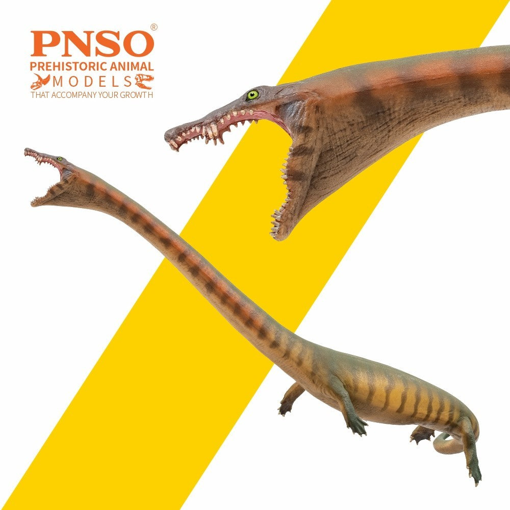 PNSO 2025 Xiaochong the Dinocephalosaurus - modello di rettile marino