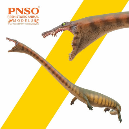 PNSO 2025 Xiaochong the Dinocephalosaurus - modello di rettile marino