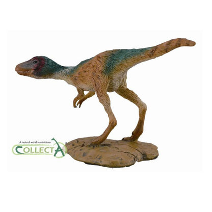 CollectA 88697 2014 Juvenile Tyrannosaurus rex model cucciolo Dinosauro T. rex