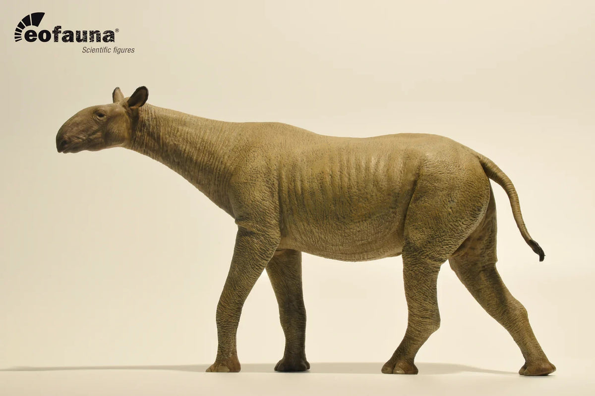 Eofauna 14 Paraceratherium grangeri Modello Scala 1:35