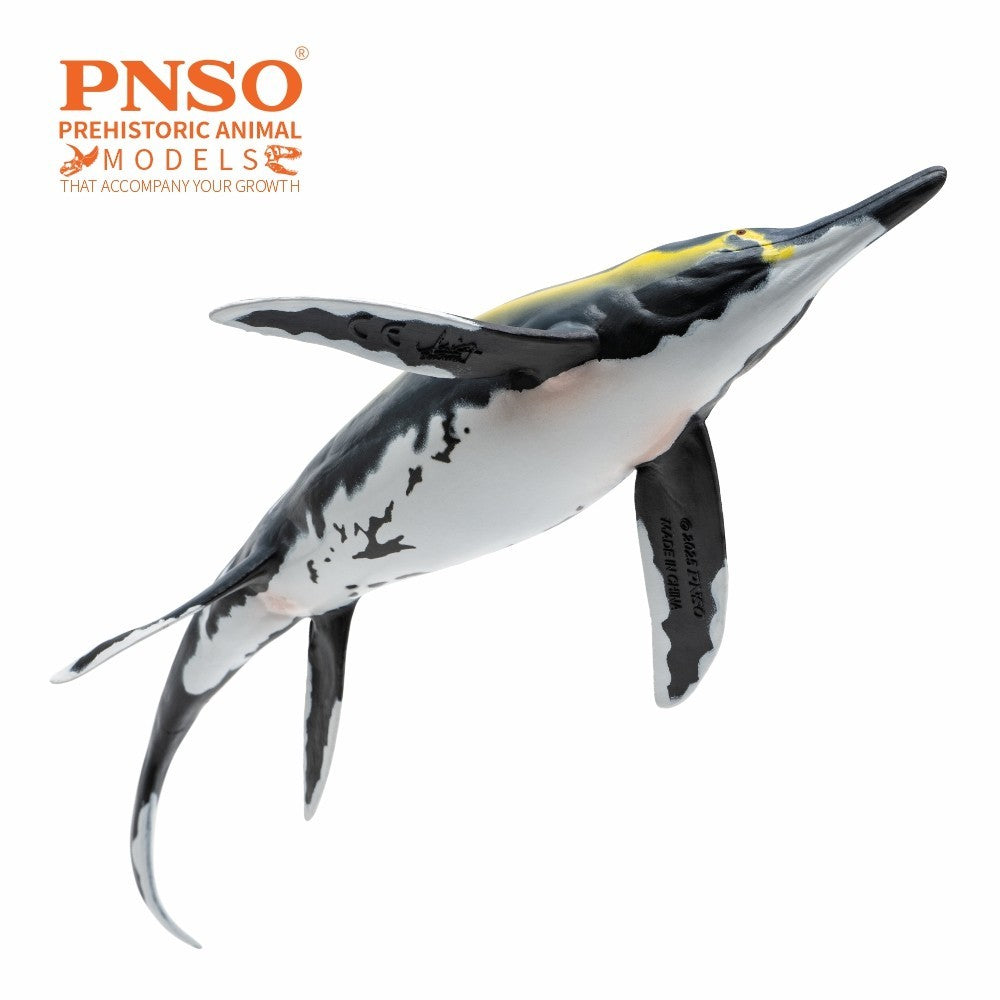 PNSO 2025 Youran the Guizhouichthyosaurus - modello di rettile marino ittiosauro