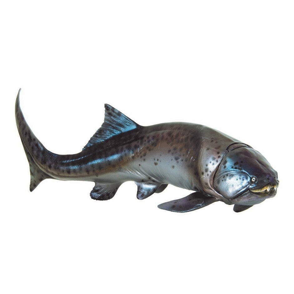 PNSO 2021 Zaha il Dunkleosteus - pesce preistorico con mandibola mobile