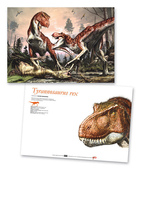 Stampe Artistiche Prehistoric Minds 29,7 x 42 cm Stampa offset fronte e retro