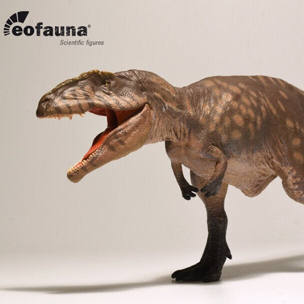Eofauna Giganotosaurus carolinii - Scala 1:35 - Modello di Dinosauro teropode