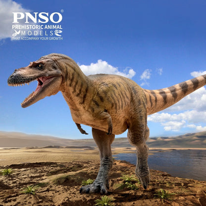 PNSO 2023 Wally Albertosaurus dinosauro in scala 1:35 - mandibola mobile
