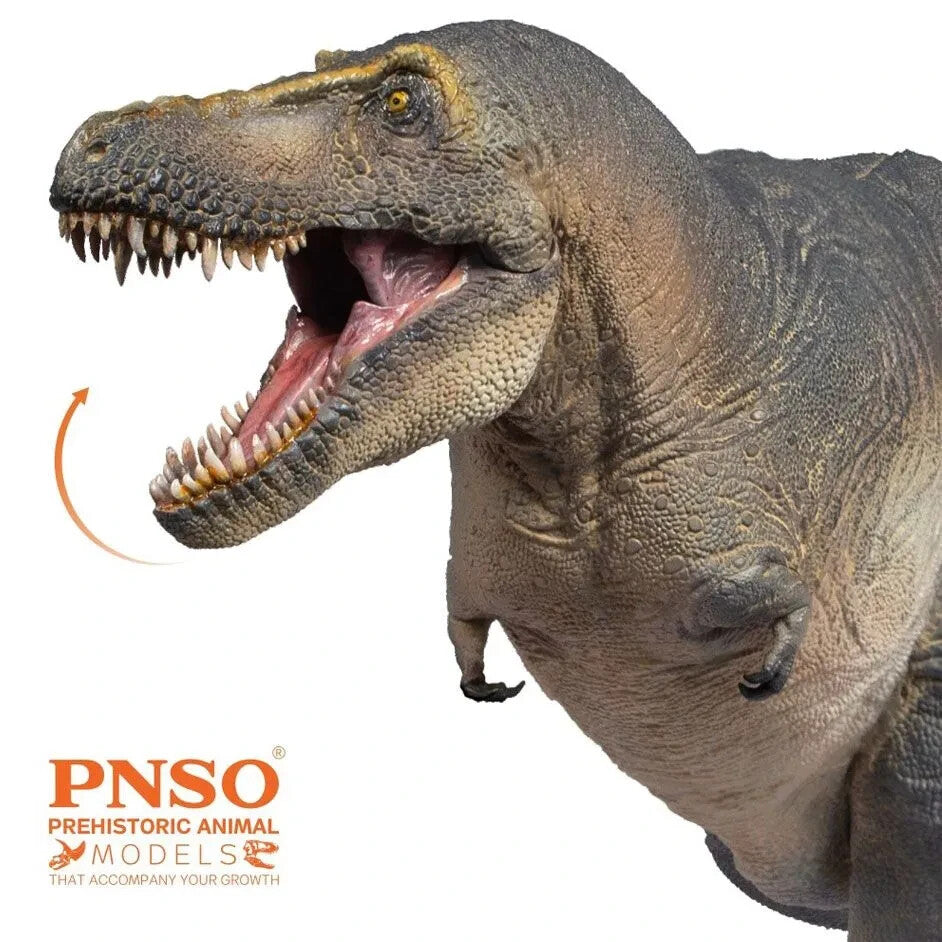 PNSO 2021 Chuanzi il Tarbosaurus - dinosauro in scala 1:35 - mandibola mobile