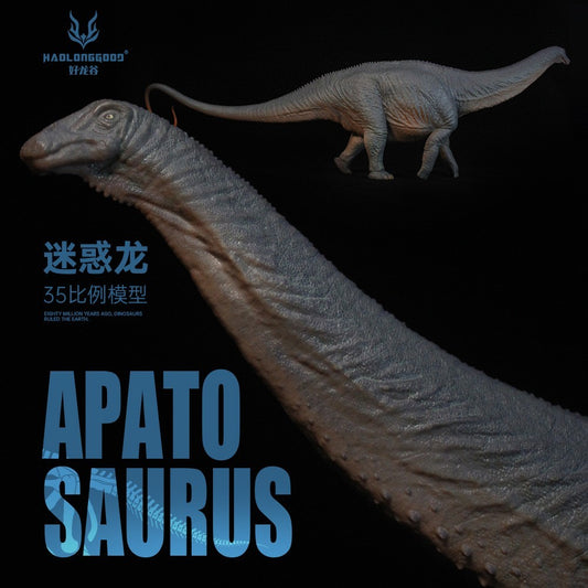 HLG Apatosaurus HuangXin Haolonggood - modello di dinosauro scala 1:35
