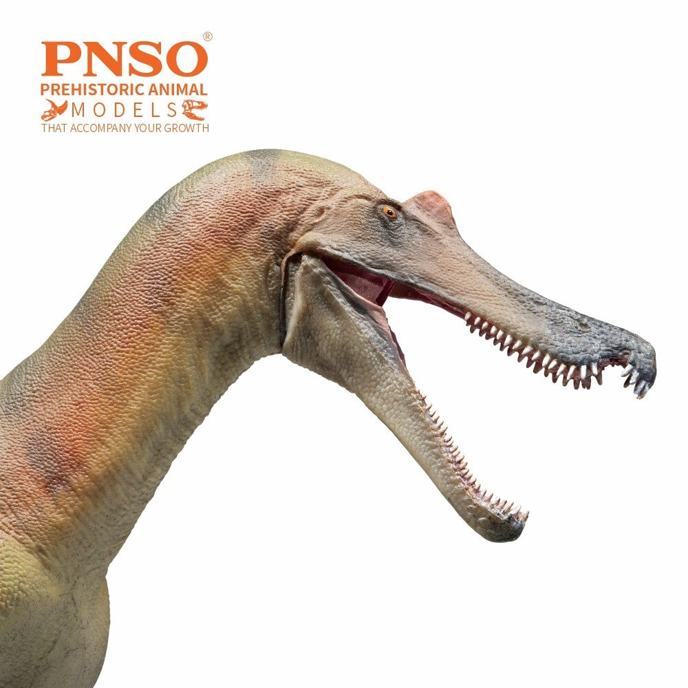 PNSO 2024 Maxim il Baryonyx - dinosauro in scala 1:35 - mandibola mobile