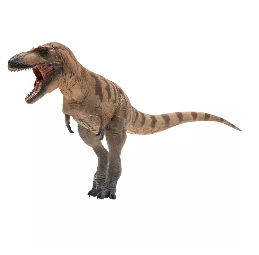 PNSO 2023 Colethe il Daspletosaurus - dinosauro in scala 1:35 - mandibola mobile