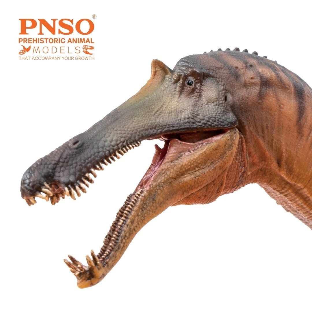 PNSO 2022 Chongzuo the Sinopliosaurus - modello in scala 1:35  mandibola mobile