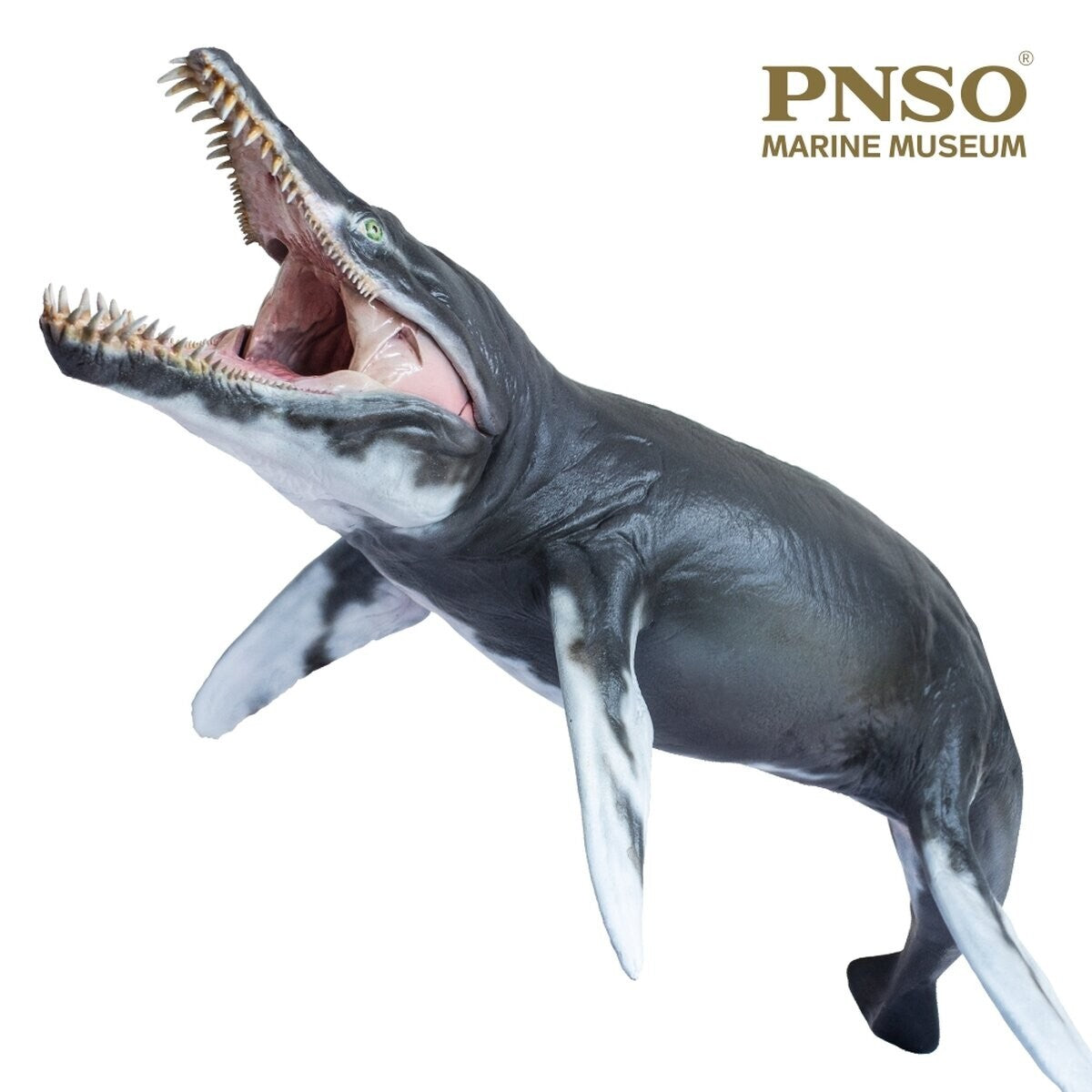 PNSO 2021 Jeff il Kronosaurus  rettile marino linea museale