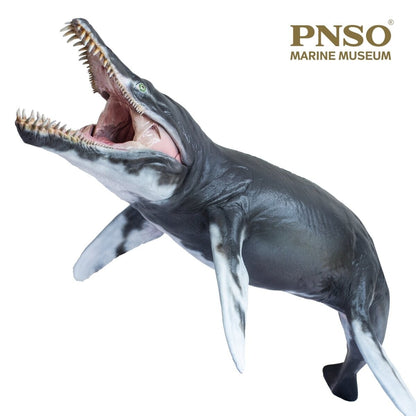 PNSO 2021 Jeff il Kronosaurus  rettile marino linea museale