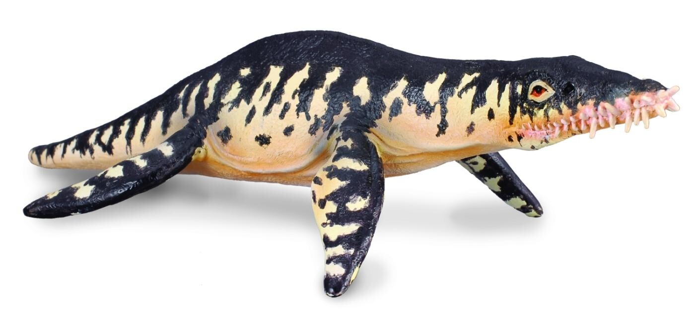CollectA 88237 2008 Liopleurodon Modello di plesiosauro pliosauride