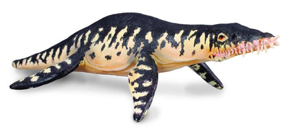 CollectA 88237 2008 Liopleurodon Modello di plesiosauro pliosauride