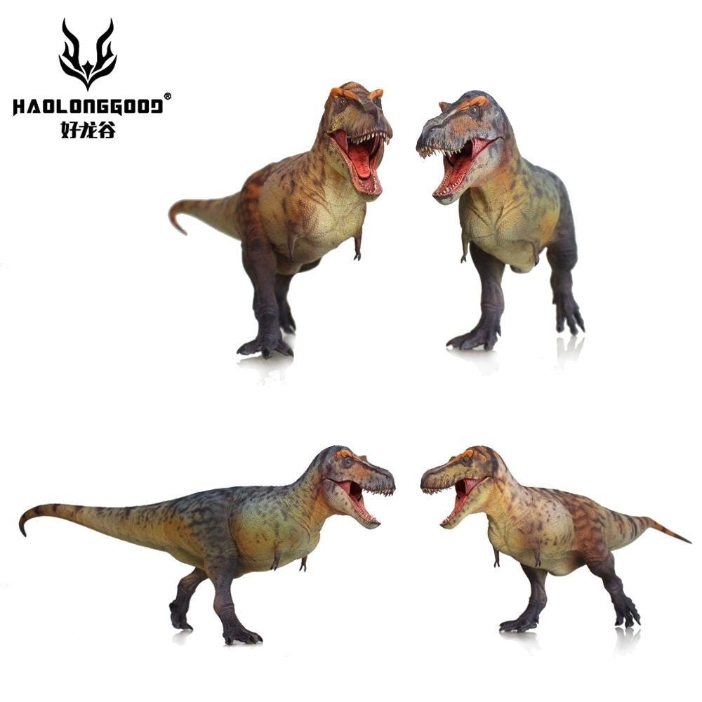 HLG 159-160 Tyrannosaurus rex Haolonggood modello dinosauro 1:35  2 colorazioni
