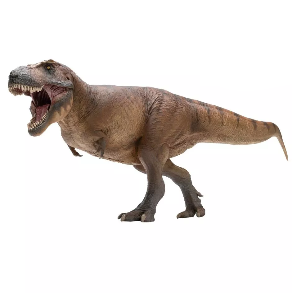 PNSO 2023 Cameron Tyrannosaurus rex - dinosauro T.rex scala 1:35 linea museale