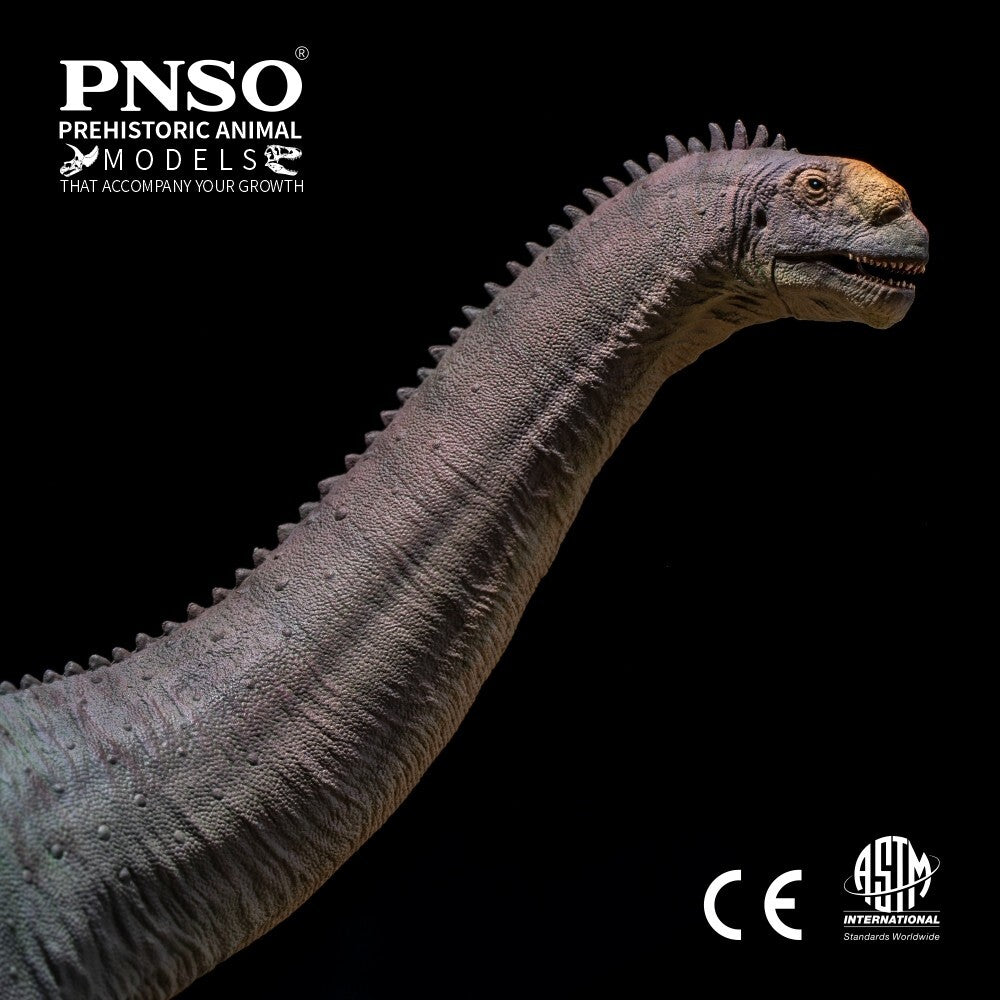 PNSO 2024 Njor il Camarasaurus dinosauro in scala 1:35