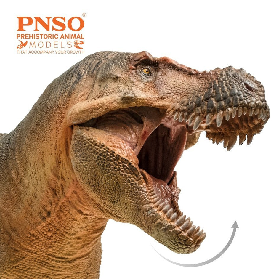 PNSO 2022 Luxiong lo Zhuchengtyrannus - dinosauro scala 1:35 - mandibola mobile