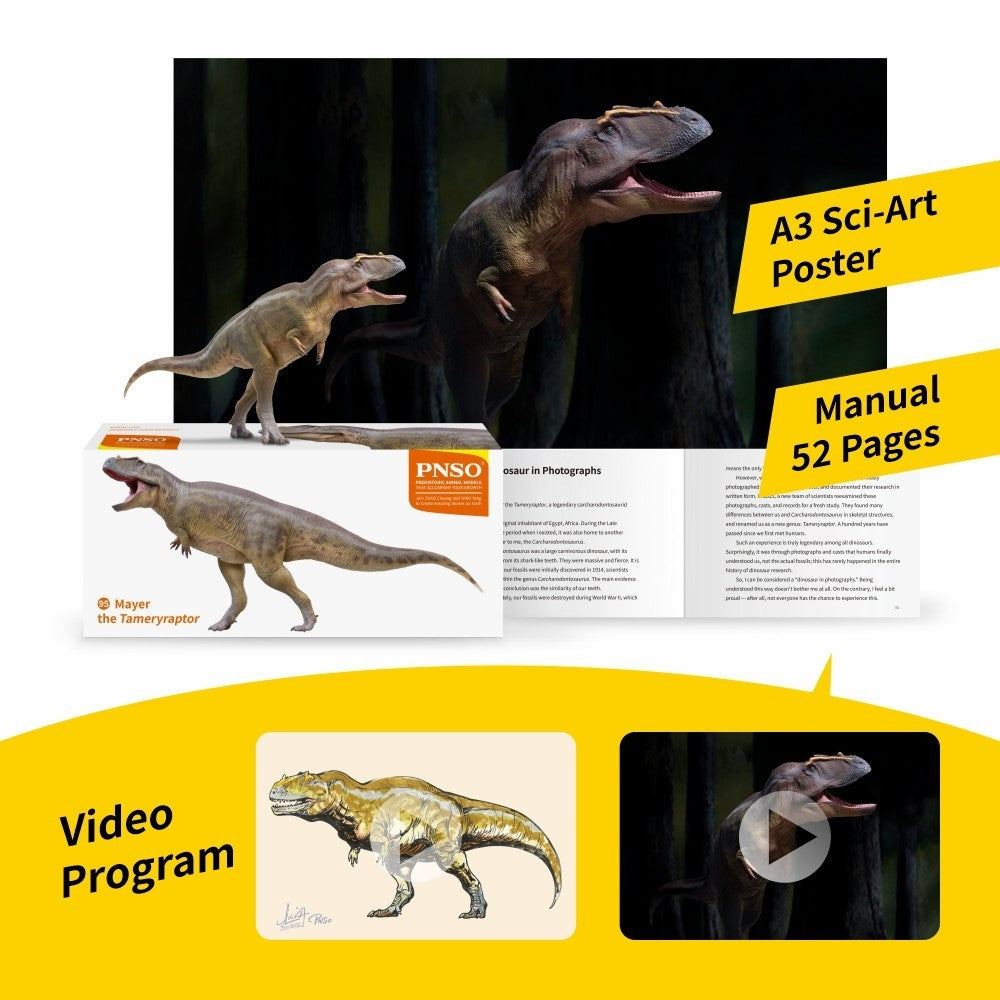 PNSO 2025 Mayer the Tameryraptor - dinosauro in scala 1:35 - mandibola mobile