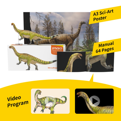 PNSO 2024 Yiran il Lufengosaurus - modello di dinosauro prosauropode