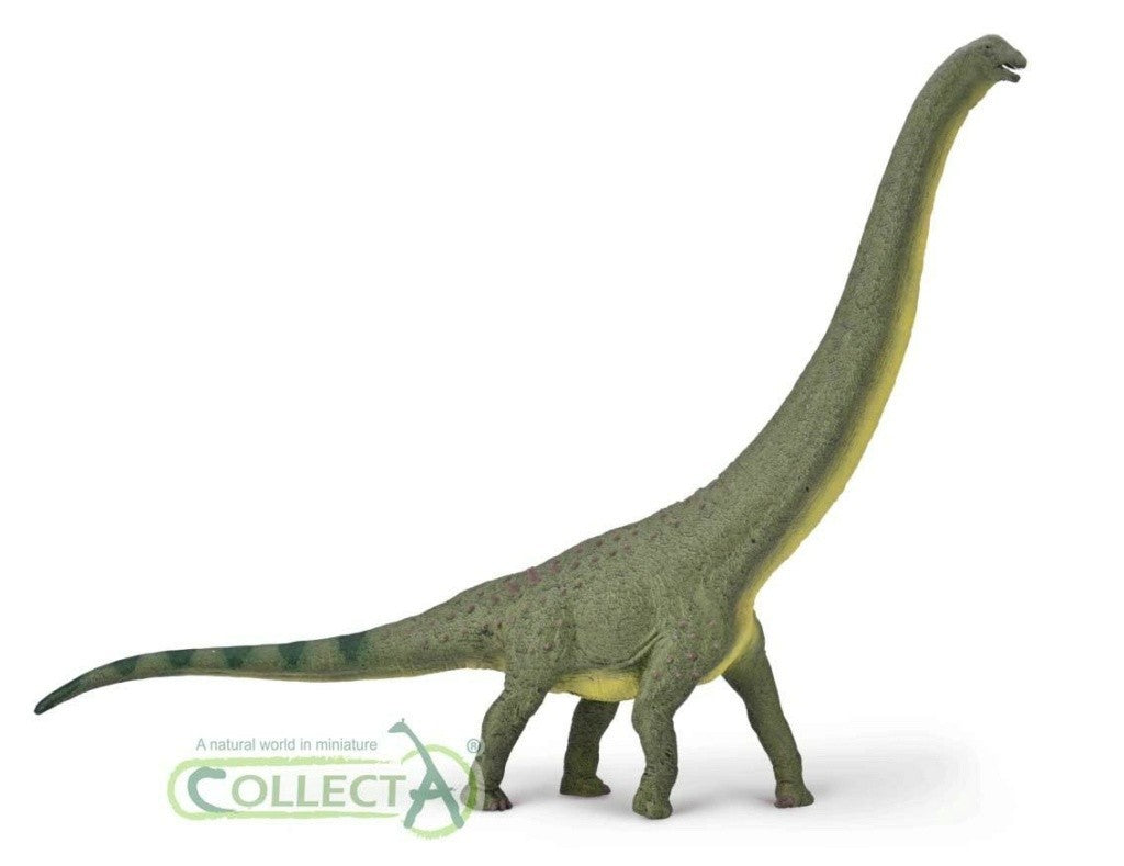 CollectA 80005 Dreadnoughtus Deluxe 1:100 - modello di dinosauro sauropode