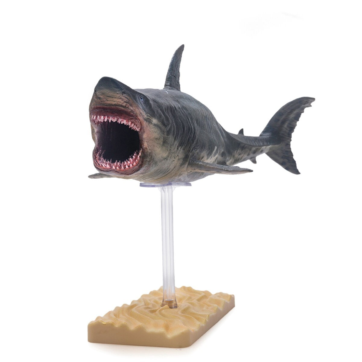 PNSO Patton il Megalodon - modello squalo preistorico