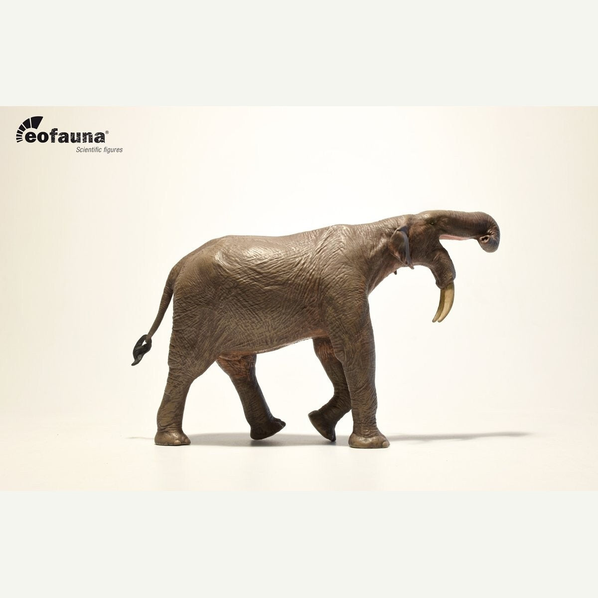 Eofauna 05 Deinotherium giganteum