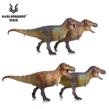 HLG 159-160 Tyrannosaurus rex Haolonggood modello dinosauro 1:35  2 colorazioni