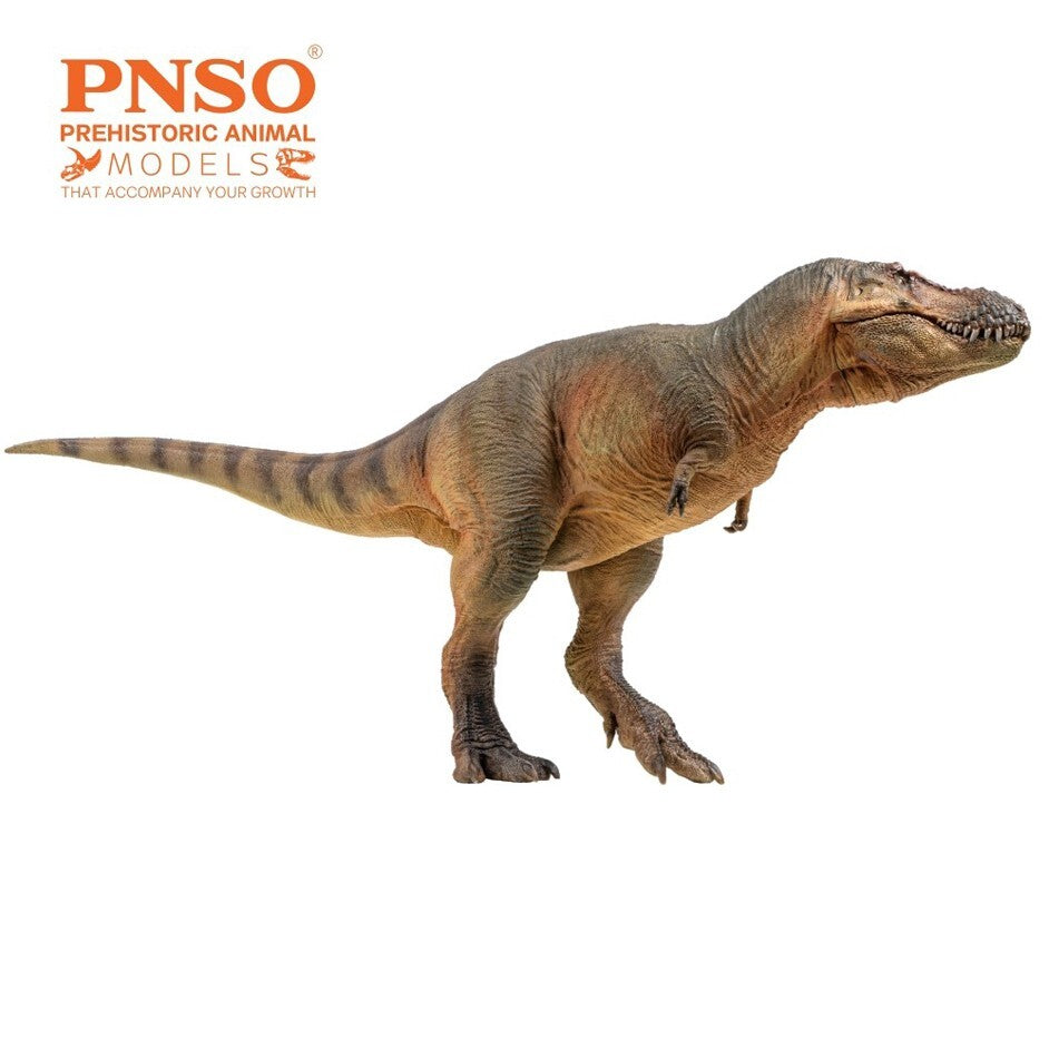 PNSO 2022 Luxiong lo Zhuchengtyrannus - dinosauro scala 1:35 - mandibola mobile