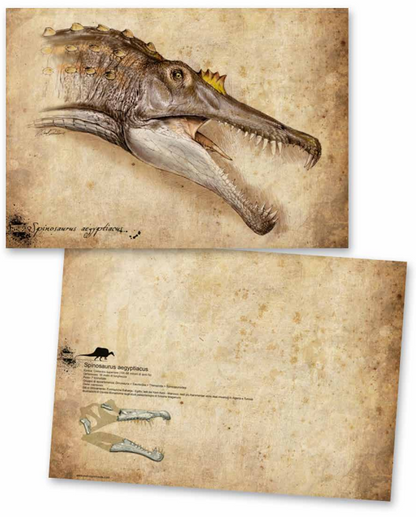 Stampe Artistiche Prehistoric Minds 29,7 x 42 cm Stampa offset fronte e retro