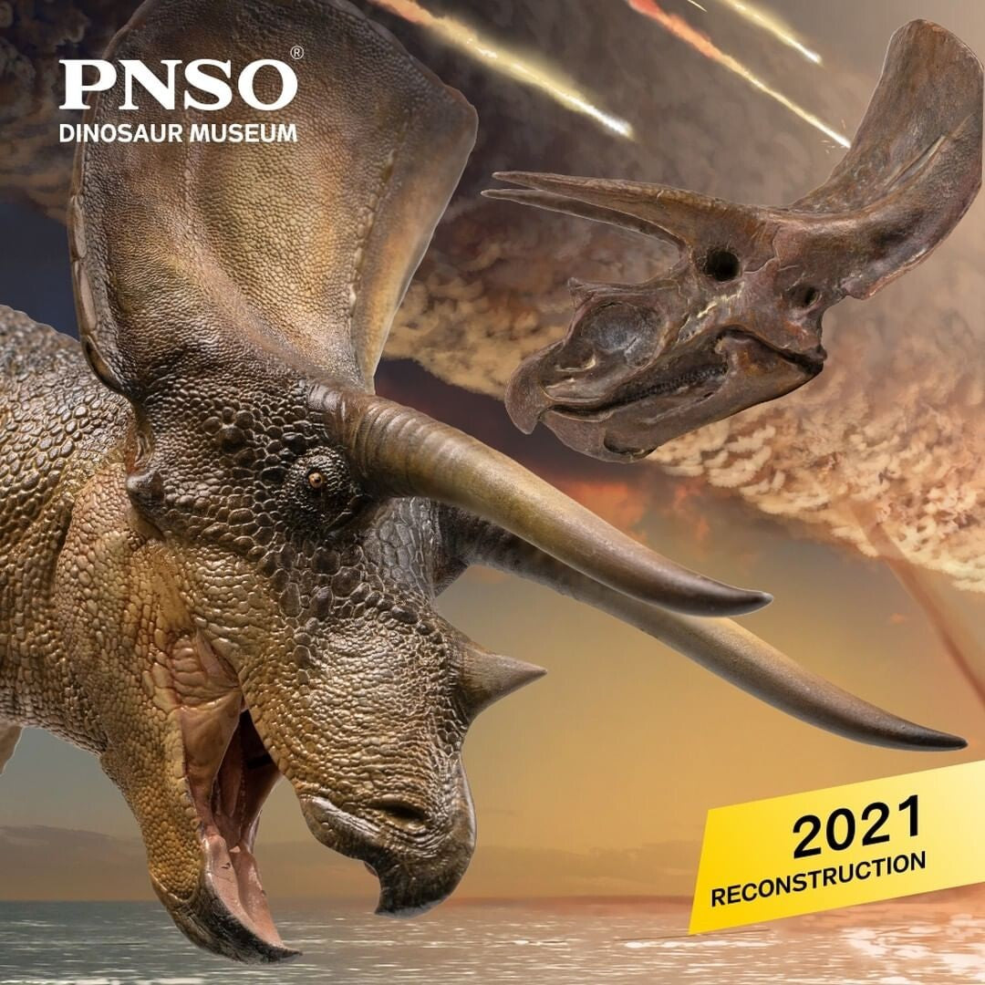 PNSO 2021 NEW Doyle Triceratops + Teschio dinosauro linea museale in scala 1:35