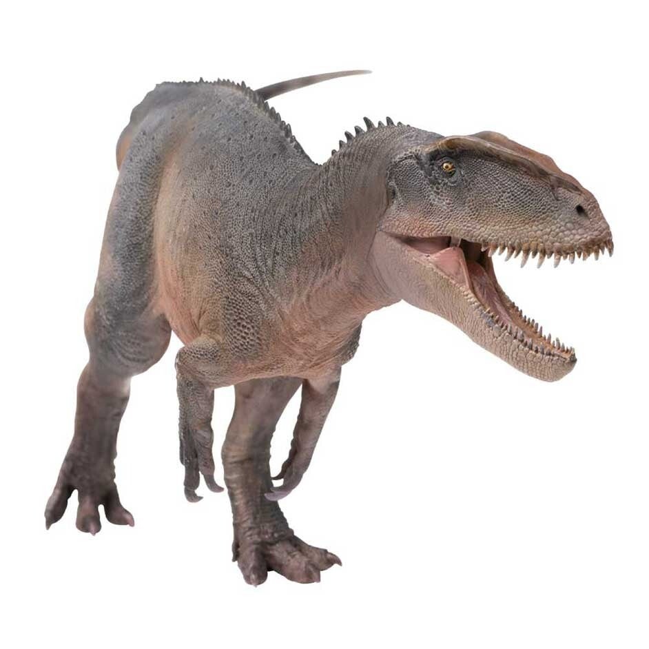 PNSO 2022  Xinchuan il Sinraptor - dinosauro in scala 1:35 - mandibola mobile