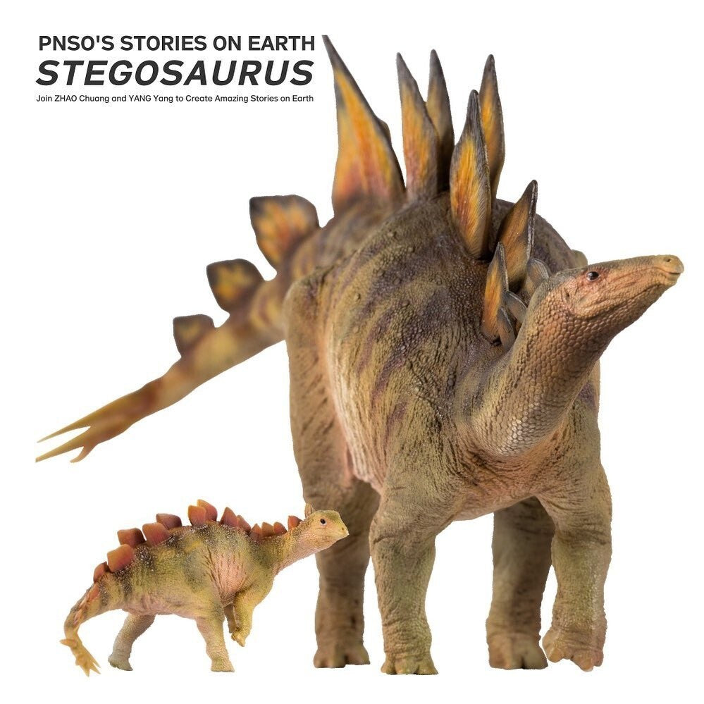 PNSO 2021 Biber lo Stegosaurus & Rook dinosauro linea museale in scala 1:35